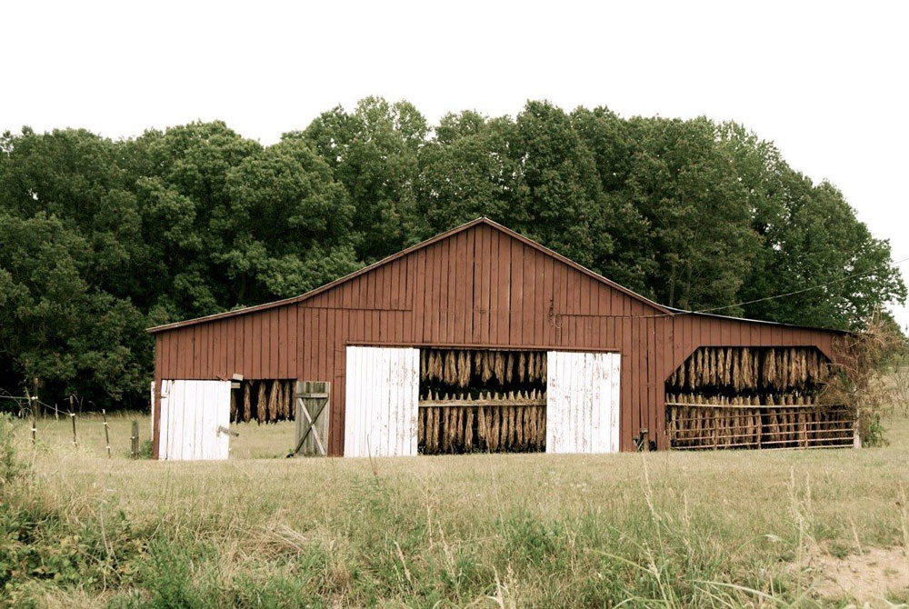 KentuckyTobaccoBarnDSC_0643 Nettie Jarvis Antiques