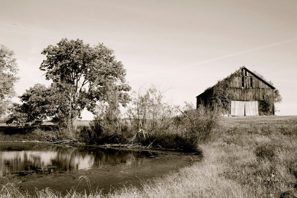 OldBarnBloomfield,Kentucky020 Nettie Jarvis Antiques