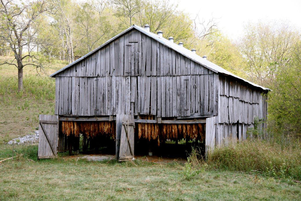 Tobacco Barn Nelson County Kentucky 011 Nettie Jarvis Antiques